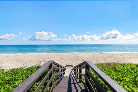 Villa ou maison à vendre à Palm Beach, Floride: 5 chambres, 810.39 m2 № 2081775 - photo 7