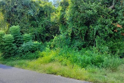 Land in Inverness, Florida № 2162479 - photo 20