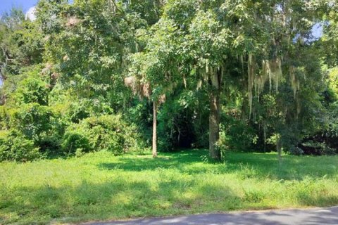 Land in Inverness, Florida № 2162479 - photo 4