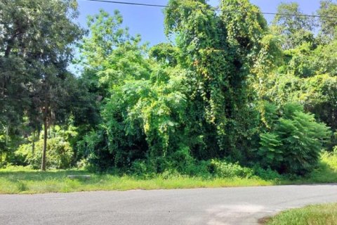 Land in Inverness, Florida № 2162479 - photo 21