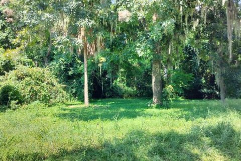 Land in Inverness, Florida № 2162479
