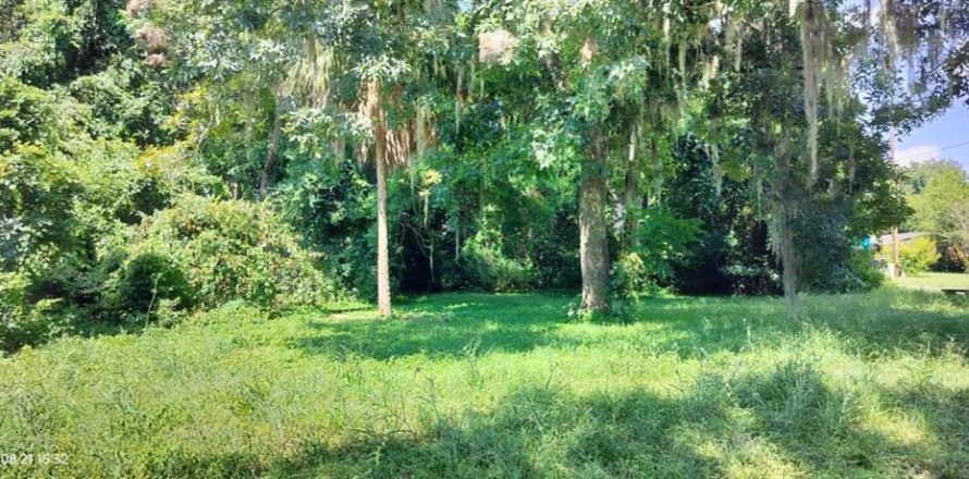 Land in Inverness, Florida № 2162479