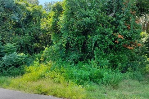 Land in Inverness, Florida № 2162479 - photo 15