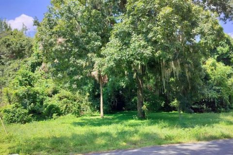 Land in Inverness, Florida № 2162479 - photo 23