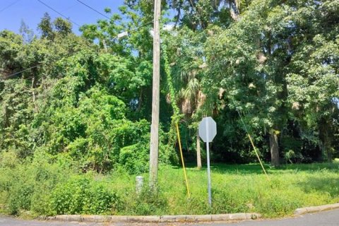 Land in Inverness, Florida № 2162479 - photo 18