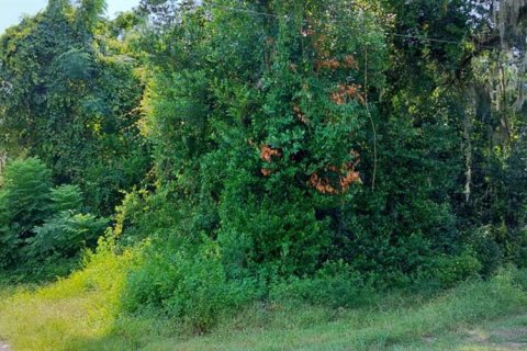 Land in Inverness, Florida № 2162479 - photo 24