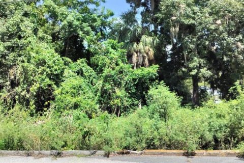 Land in Inverness, Florida № 2162479 - photo 6