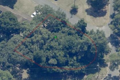 Land in Inverness, Florida № 2162479 - photo 10