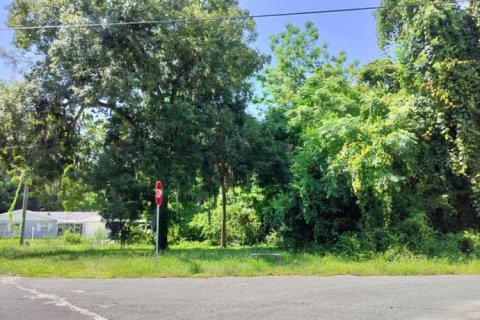 Land in Inverness, Florida № 2162479 - photo 19