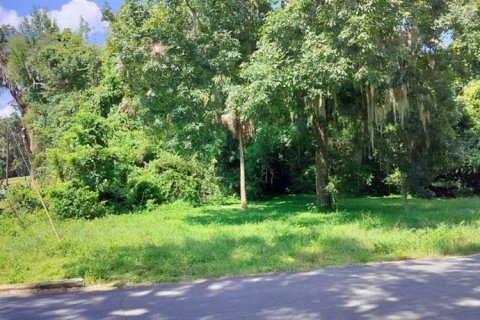 Land in Inverness, Florida № 2162479 - photo 17
