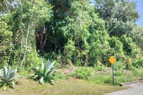 Land in Inverness, Florida № 2162479 - photo 2