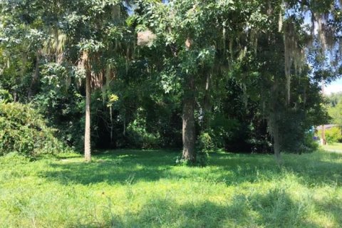Land in Inverness, Florida № 2162479 - photo 22