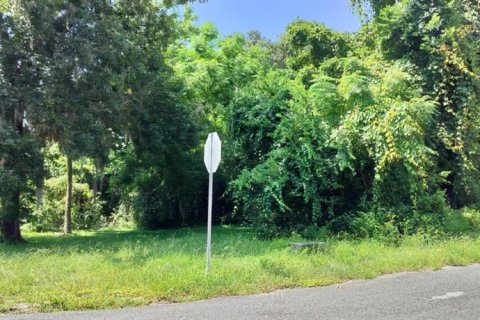 Land in Inverness, Florida № 2162479 - photo 26