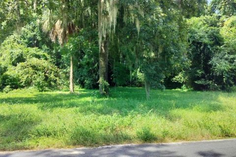 Land in Inverness, Florida № 2162479 - photo 14