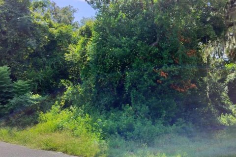 Land in Inverness, Florida № 2162479 - photo 25