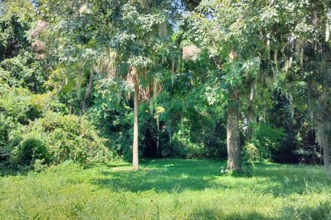 Land in Inverness, Florida № 2162479 - photo 16