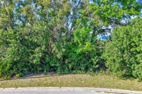 Land in Largo, Florida № 1614589 - photo 4