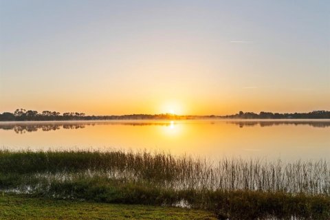 Купить виллу или дом в Юстис, Флорида 13 комнат, 583.7м2, № 1678246 - фото 4