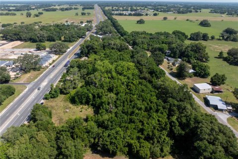 Commercial property in Oxford, Florida 205.87 sq.m. № 1156004 - photo 2