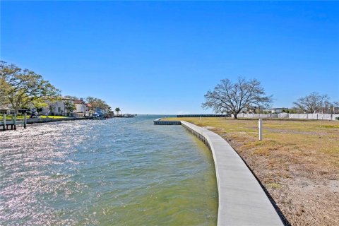 Land in Tampa, Florida № 1112148 - photo 3