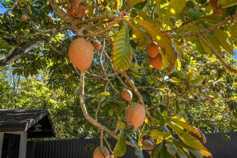 Villa ou maison à vendre à Miami, Floride: 7 chambres, 462.56 m2 № 2025183 - photo 14