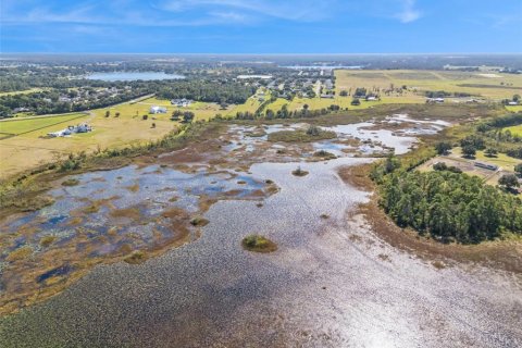 Land in Clermont, Florida № 2258396 - photo 5