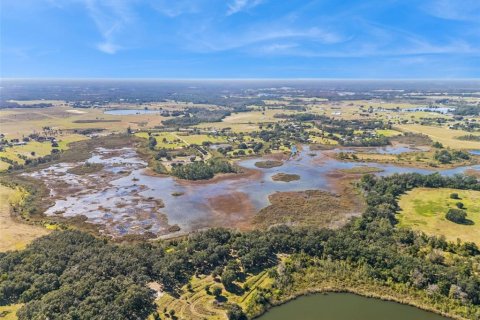 Land in Clermont, Florida № 2258396 - photo 8