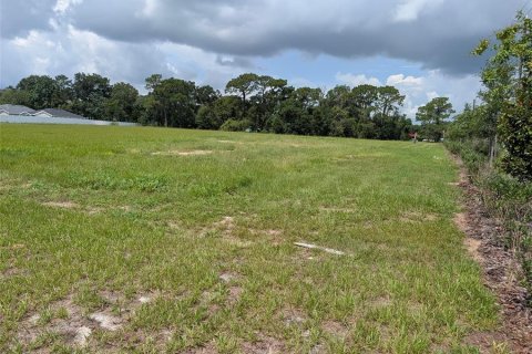 Terrain à vendre à Belleview, Floride № 2323245 - photo 6