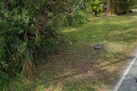Terrain à Port Orange, Floride № 2097668