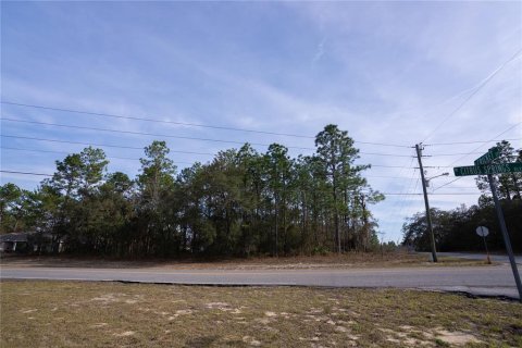 Land in Citrus Springs, Florida № 2159356 - photo 4