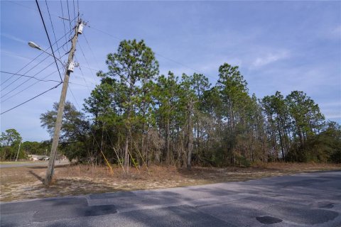 Land in Citrus Springs, Florida № 2159356 - photo 3