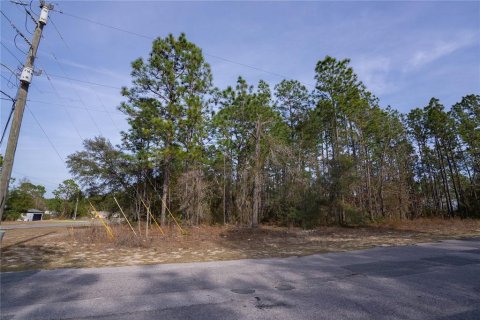 Land in Citrus Springs, Florida № 2159356 - photo 2