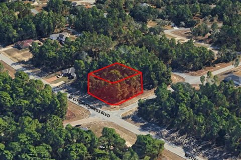 Land in Citrus Springs, Florida № 2159356