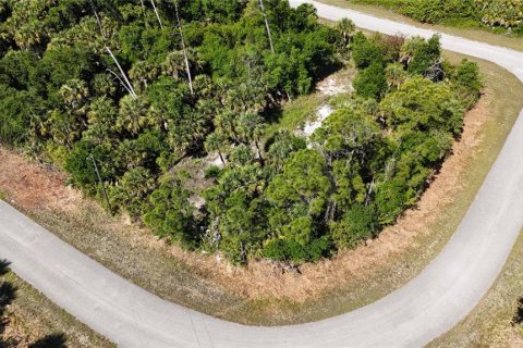 Land in North Port, Florida № 2205919 - photo 4