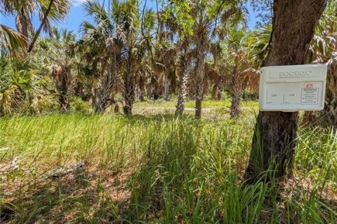 Land in North Port, Florida № 2205919 - photo 8