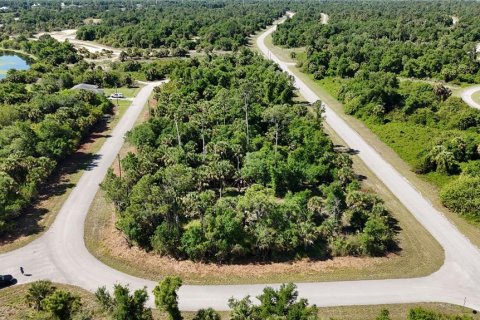 Land in North Port, Florida № 2205919 - photo 3