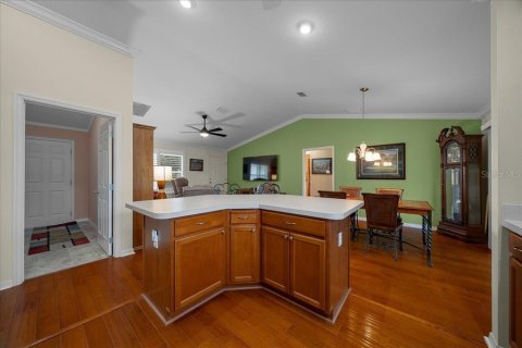 Villa ou maison à vendre à The Villages, Floride: 3 chambres, 129.32 m2 № 1904087 - photo 25