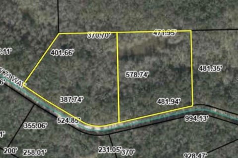 Land in Bell, Florida № 1894126 - photo 2