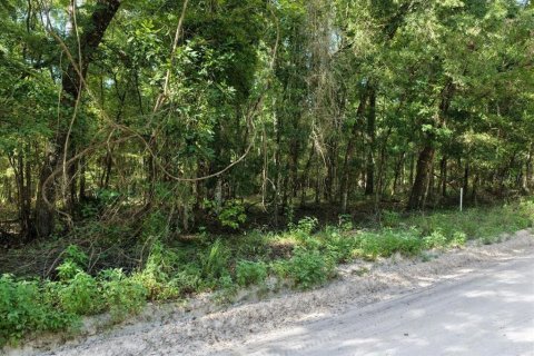 Land in Bell, Florida № 1894126 - photo 11