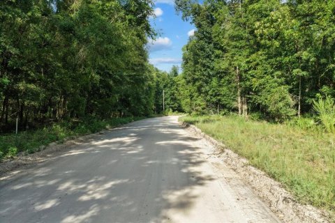 Land in Bell, Florida № 1894126 - photo 3