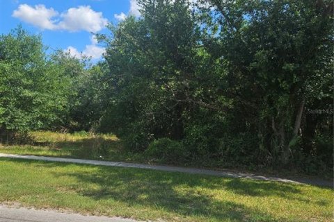 Land in Arcadia, Florida № 2299028 - photo 4