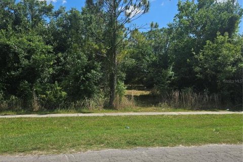 Land in Arcadia, Florida № 2299028 - photo 5