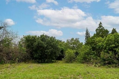 Immobilier commercial à vendre à St. Lucie, Floride № 2262651 - photo 5