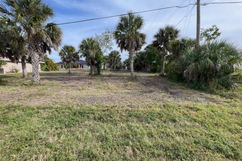 Land in Port Charlotte, Florida № 1733210 - photo 2
