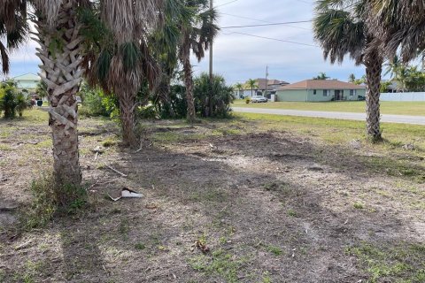 Land in Port Charlotte, Florida № 1733210 - photo 5