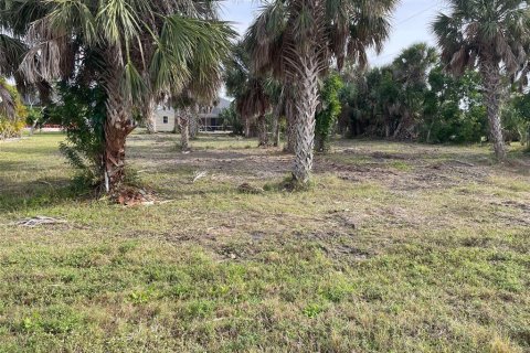 Land in Port Charlotte, Florida № 1733210 - photo 1