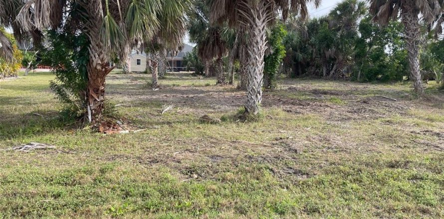 Land in Port Charlotte, Florida № 1733210