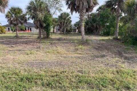 Land in Port Charlotte, Florida № 1733210 - photo 3