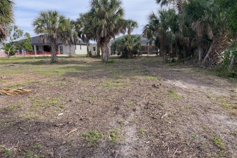Land in Port Charlotte, Florida № 1733210 - photo 4