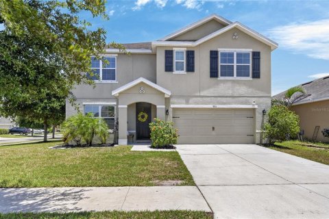 Casa en Gibsonton, Florida 5 dormitorios, 248.42 m2 № 2167459